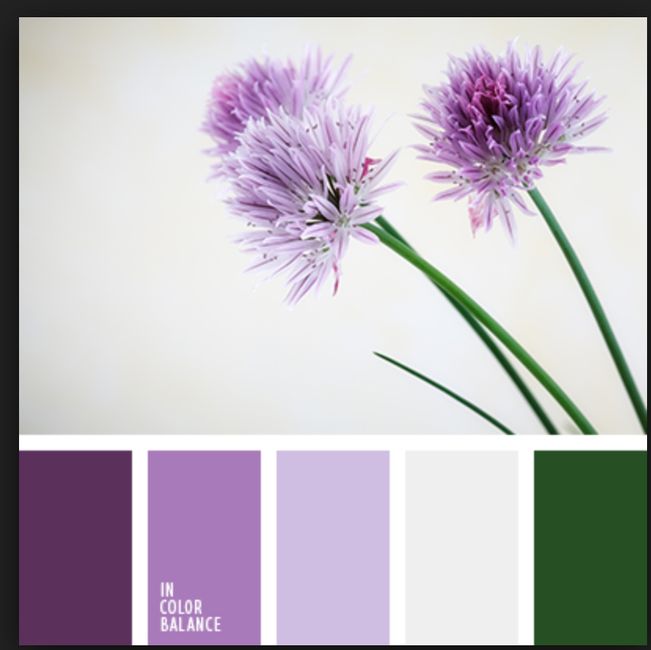 Boda :: Paleta de Colores 