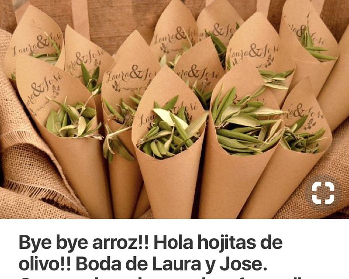 Burbujas, luces, confetti, arroz.. que? - 7