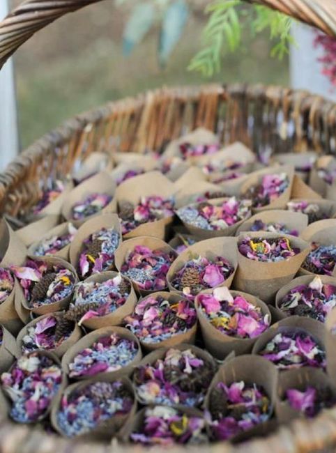 Burbujas, luces, confetti, arroz.. que? - 9