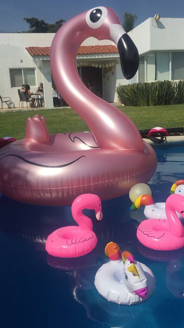 Mi despedida !!!  #ladyeli 20