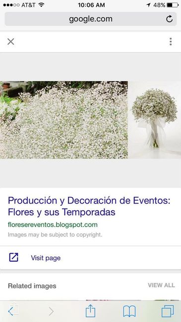 Las damas de honor con ramo o sin ramo?????? - 1