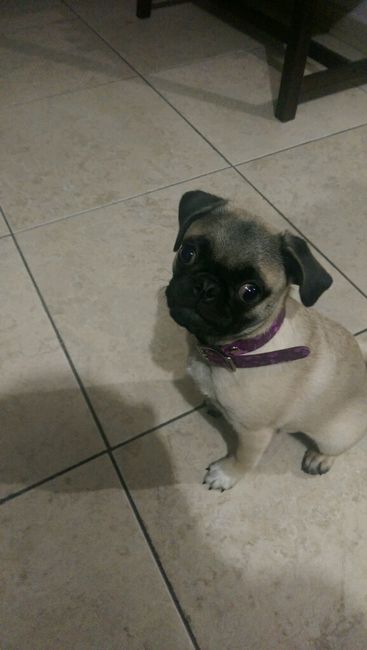 ¿Qué es lo más bonito que te ha regalado tu amor? - 1