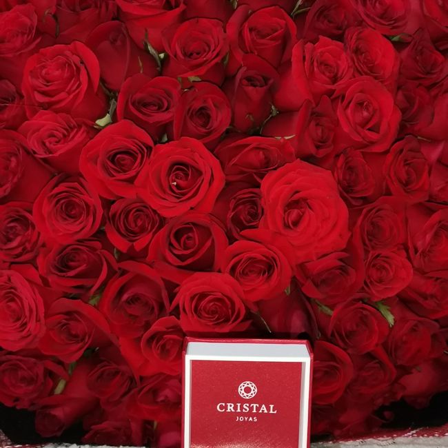 Les gustó su anillo de compromiso? - 1