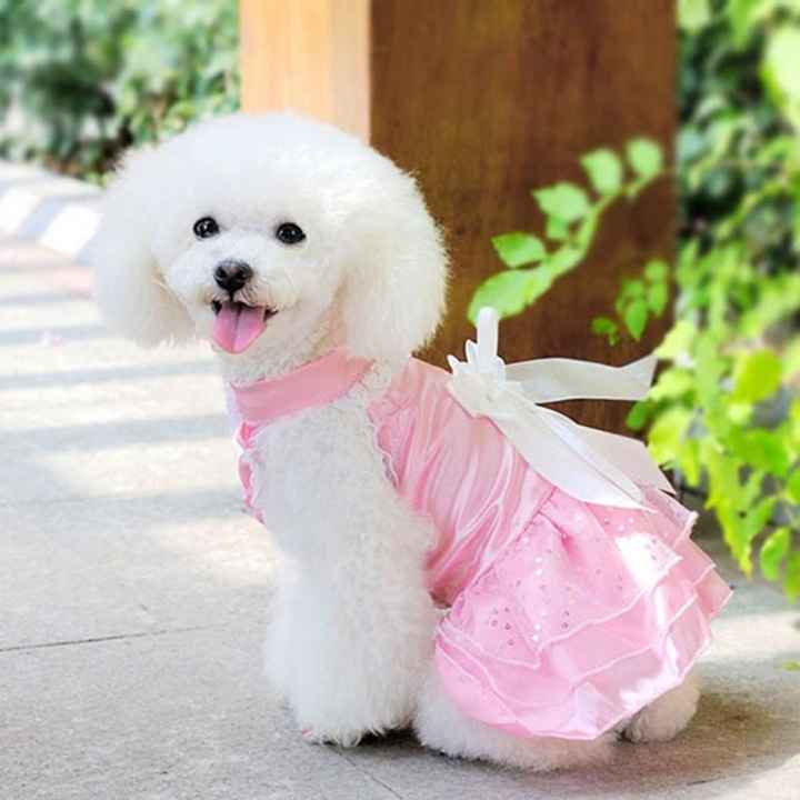 Moda nupcial para mascotas