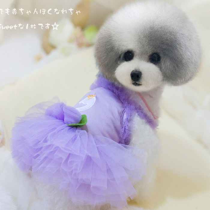 Moda nupcial para mascotas