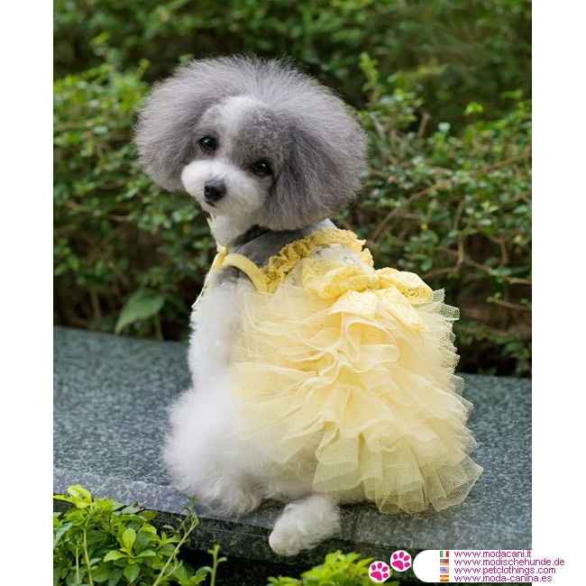 Moda nupcial para mascotas