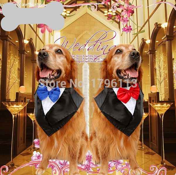 Moda nupcial para mascotas