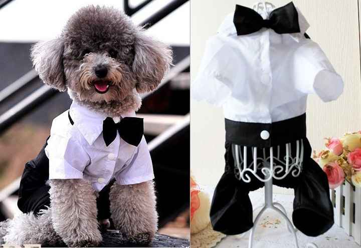 Moda nupcial para mascotas