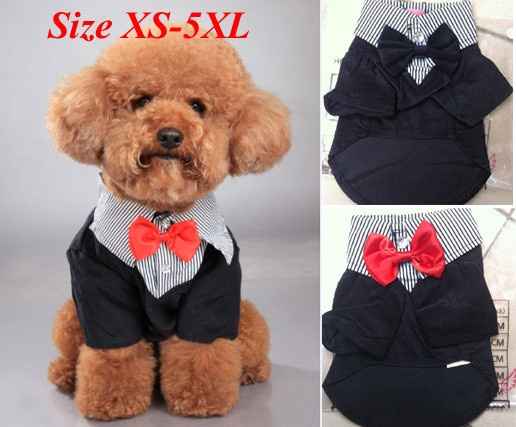 Moda nupcial para mascotas