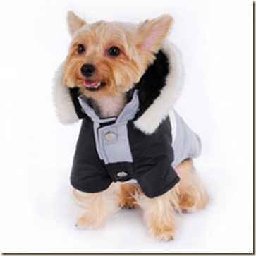 Moda nupcial para mascotas