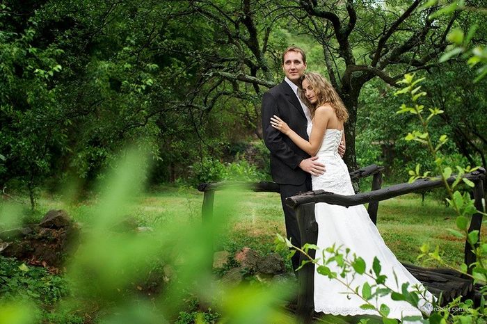 trash the dress