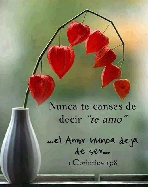 No dejes de decir 