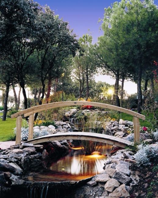 Foto: Jardines de Araceli-Puente Cultural
