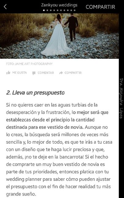 9 cosas que hay que llevar a la prueba del vestido - 2