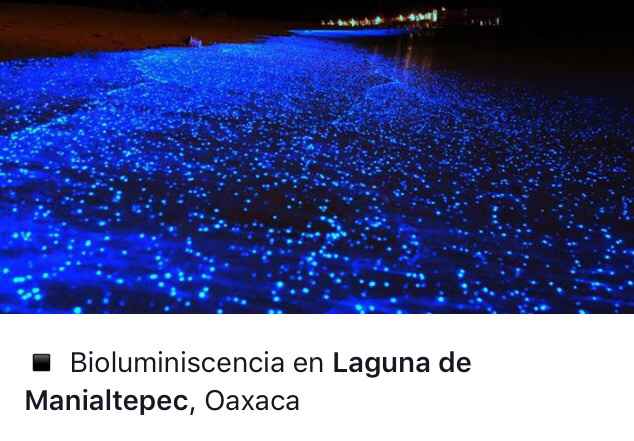 Opciones para luna de miel en mexico - 7