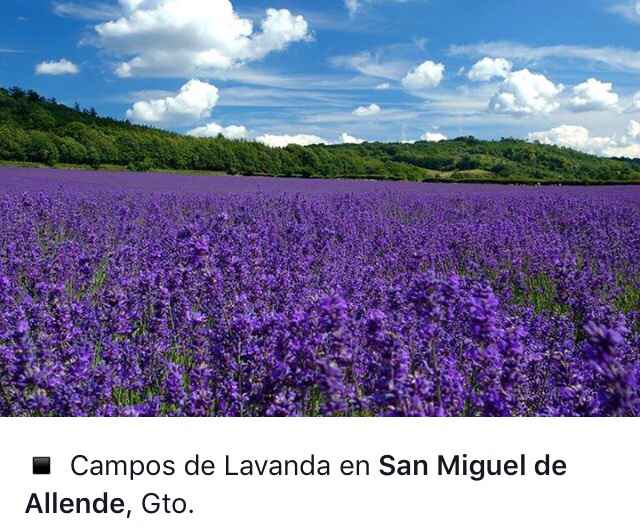 Opciones para luna de miel en mexico - 14