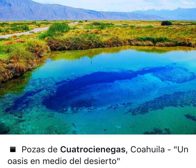 Opciones para luna de miel en mexico - 15