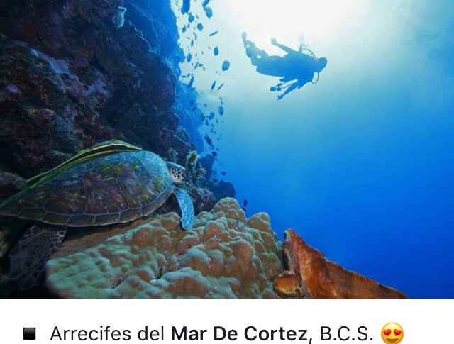 Opciones para luna de miel en mexico - 19