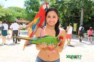 Xcarlet méxico (tours) - 1