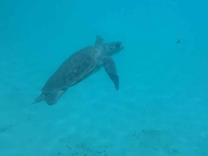 Xcarlet méxico (tours) - 3