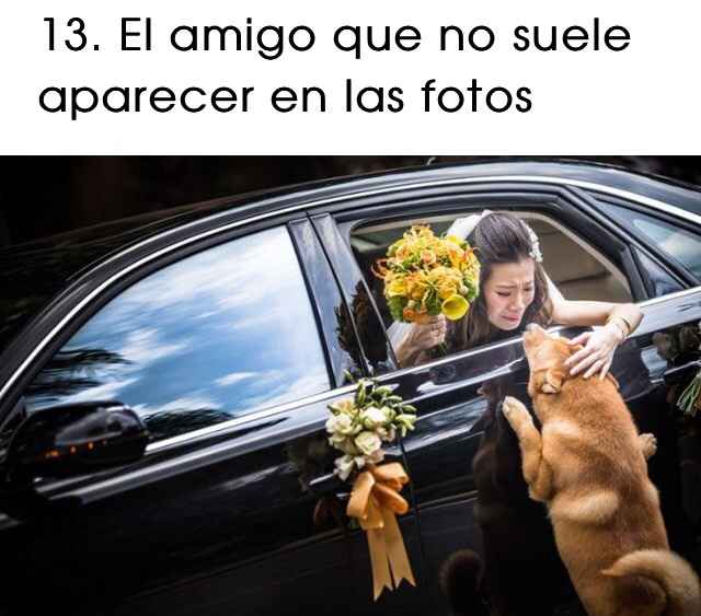 Ideas divertidas para sesión de fotos - 14