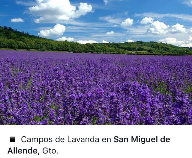 Opciones para luna de miel en mexico - 14