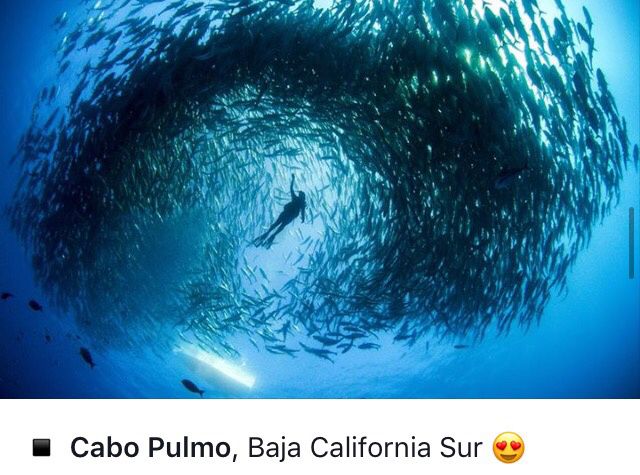 Opciones para luna de miel en mexico - 18