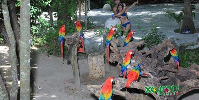 Xcarlet méxico (tours) - 3