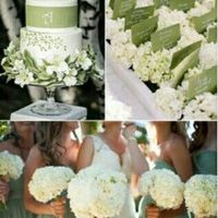 Cuál es el color de su boda? - 1