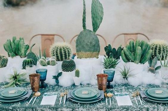 Para Una boda muy Mexicana: Cactus 14