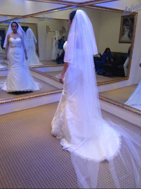 ¿qué tipo de velo usaran? - 1