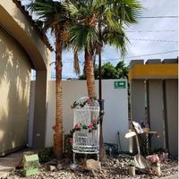 entrada