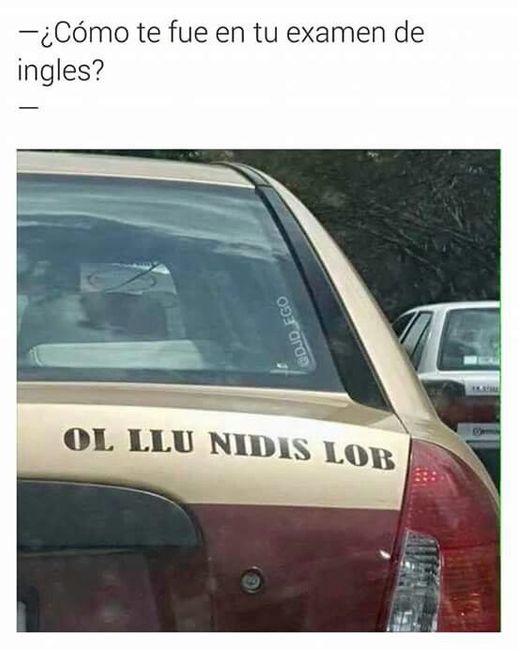 Humor de domingo - 1