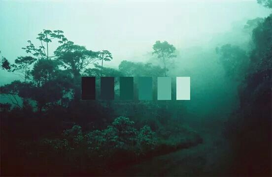 Colores en base a naturaleza - 2
