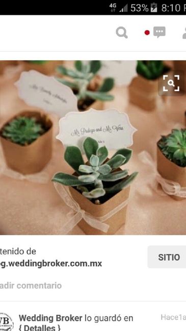 Suculentas - 3