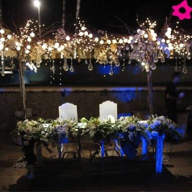 Mesa de honor de boda en jardin - 2