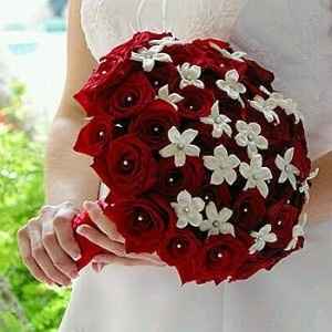 Rosas 