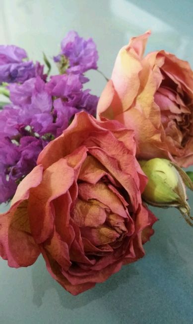 Razones del porqué es el hombre perfecto. - 1