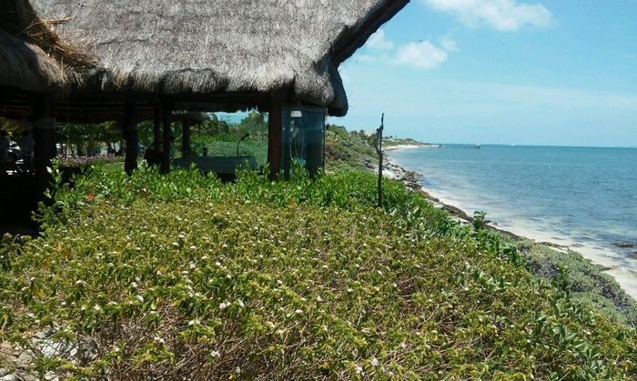 Tienen que ser perfectas. - 2