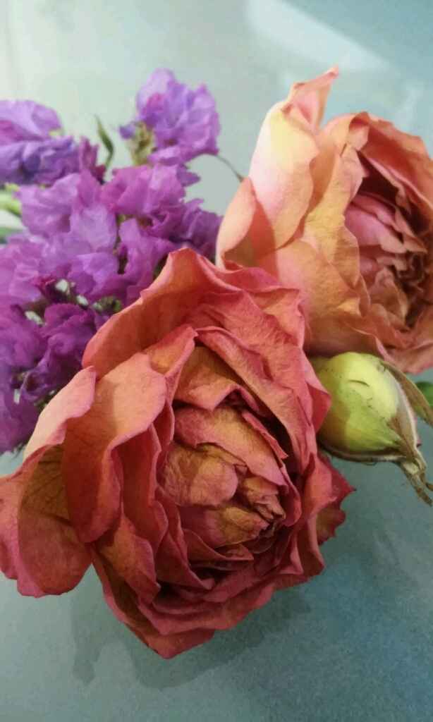 Razones del porqué es el hombre perfecto. - 1