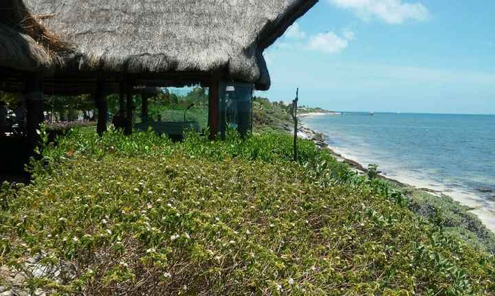 Tienen que ser perfectas. - 2