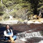 Araceli