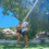 Stephany