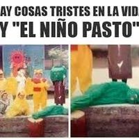 niño pasto