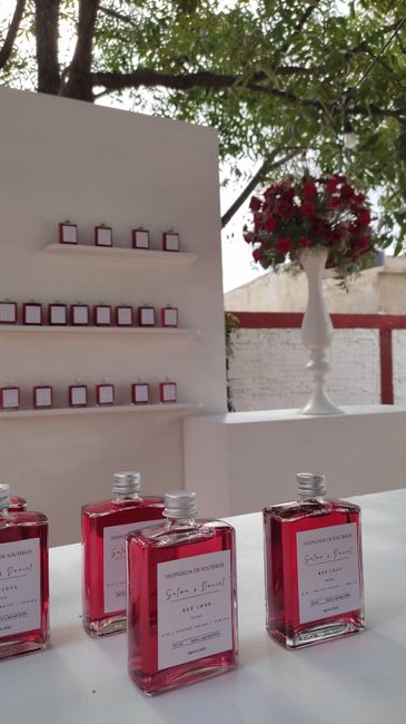 Despedida de soltera ❤️💍 2