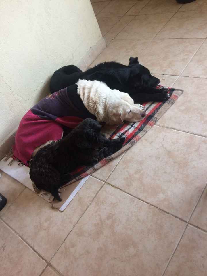 Mis hermosas y su primo adoptado !