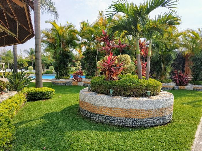 "Cuando era niña, mi imaginaba mi boda…” 3