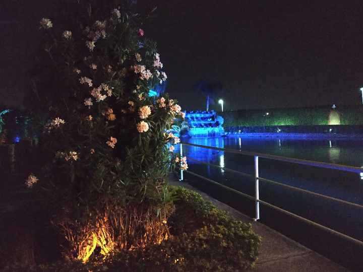 "Cuando era niña, mi imaginaba mi boda…” - 2