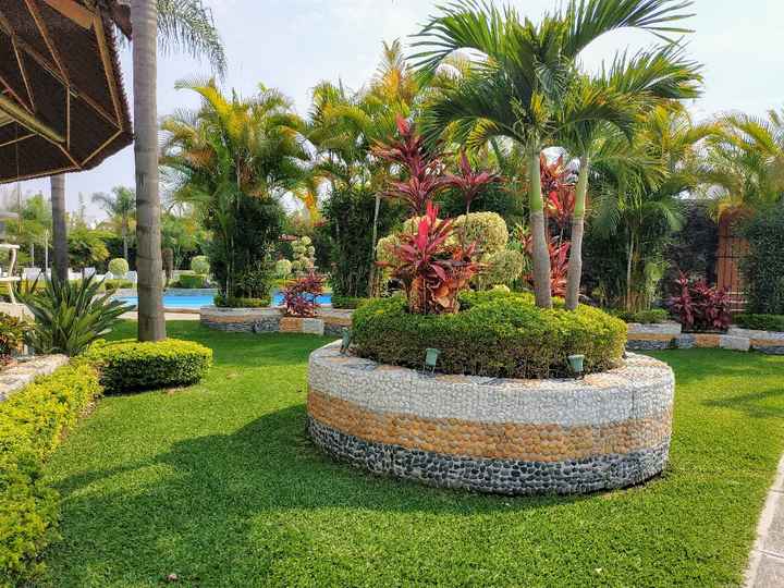 "Cuando era niña, mi imaginaba mi boda…” - 3