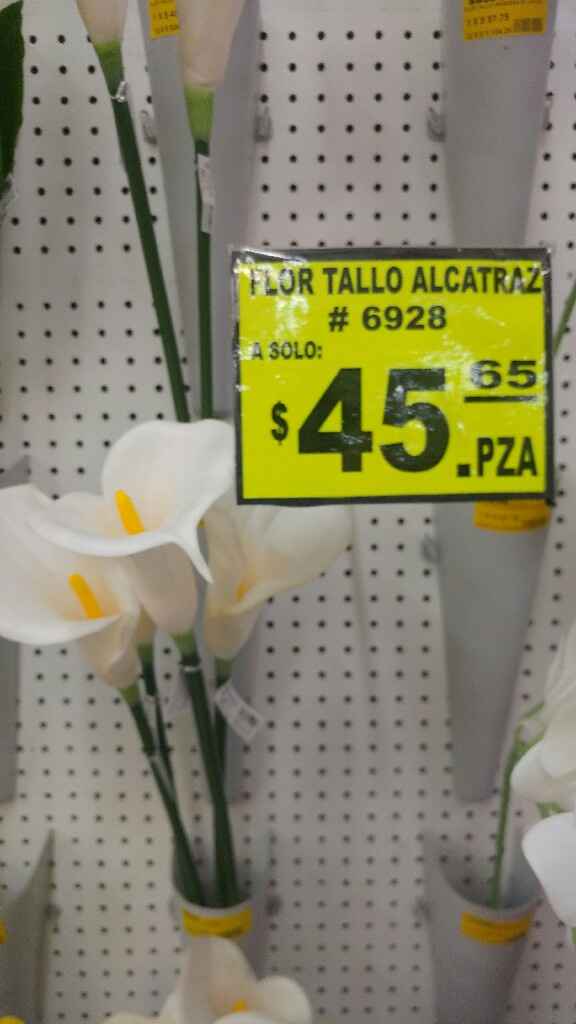 En busqueda de flores - 2